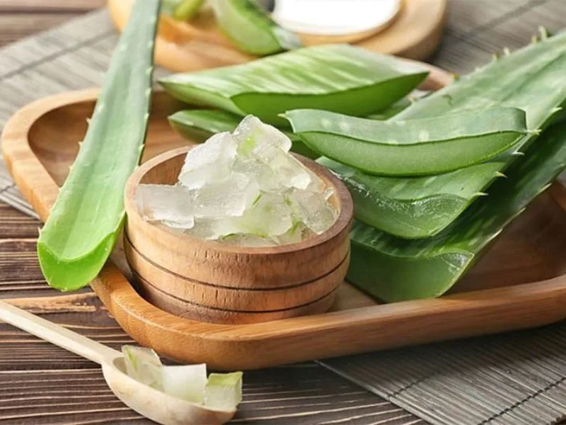 cach lam nha dam tuoi dap mat tai nha don gian an toan
