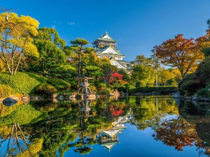 lau dai osaka