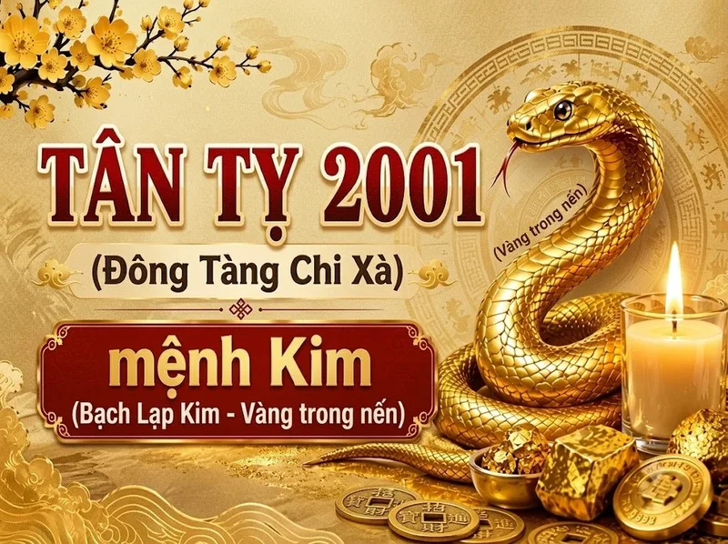 Người sinh năm 2001 - Tân Tỵ thuộc mệnh Kim, nạp âm Bạch Lạp Kim