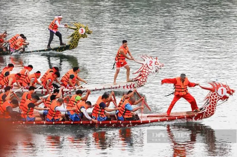 đua thuyền rồng