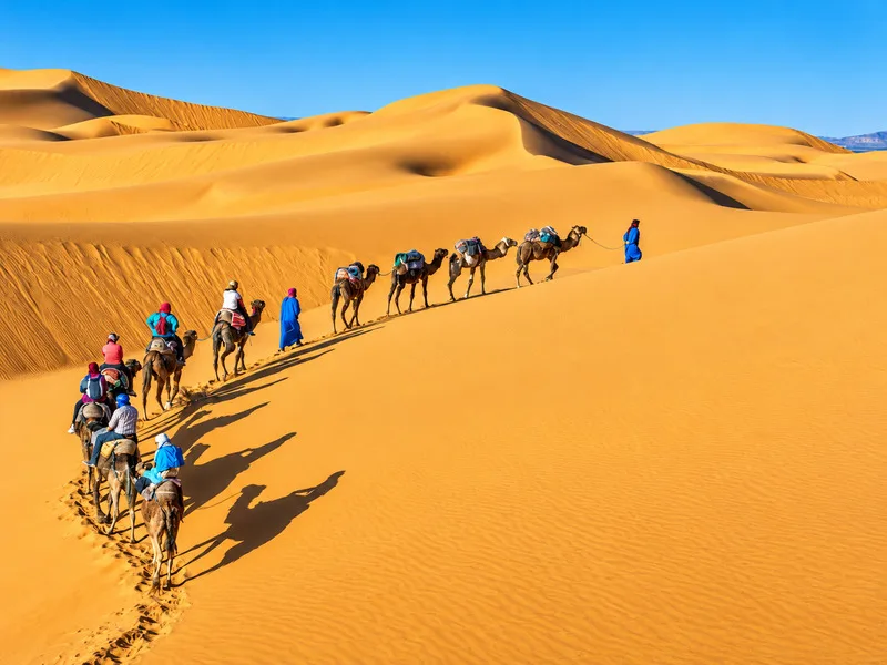 Con người và sinh vật Sahara thích nghi với môi trường khô nóng